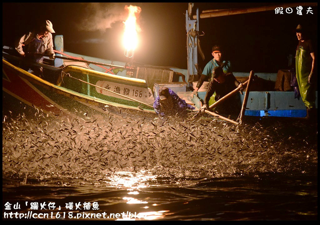 【特殊旅遊】搭乘港口66號娛樂漁船近距離欣賞磺火捕魚‧金山蹦火仔 @假日農夫愛趴趴照