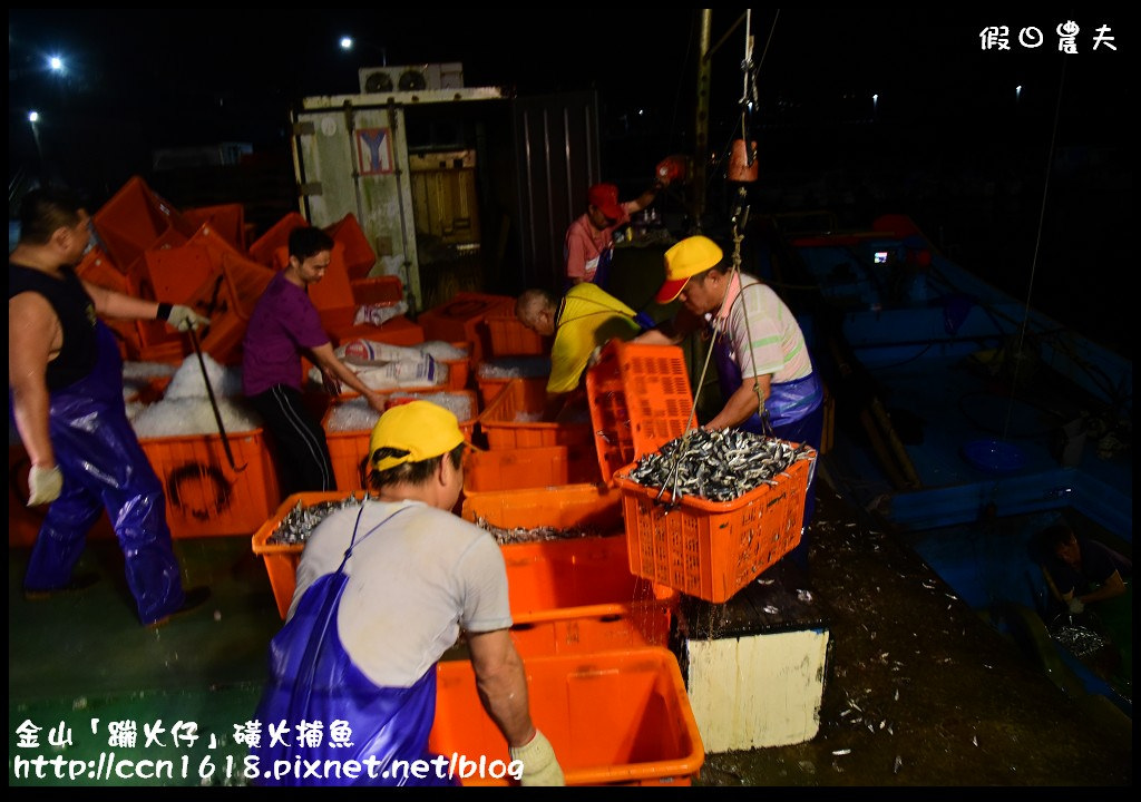 【特殊旅遊】搭乘港口66號娛樂漁船近距離欣賞磺火捕魚‧金山蹦火仔 @假日農夫愛趴趴照