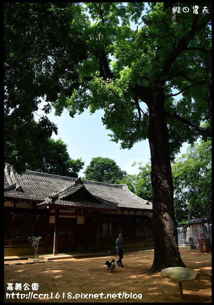 【嘉義旅遊】賞花兼看古蹟‧充滿歷史的嘉義公園/免費參觀/一日遊/石斛蘭 @假日農夫愛趴趴照