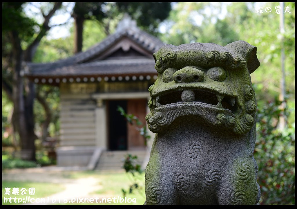 【嘉義旅遊】賞花兼看古蹟‧充滿歷史的嘉義公園/免費參觀/一日遊/石斛蘭 @假日農夫愛趴趴照