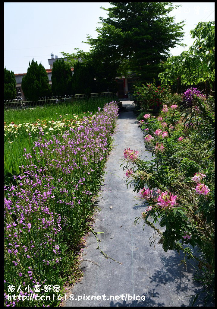 【農夫愛賞花】彰化田尾旅人小屋舒宿‧再賞鳶尾花海/免費景點/一日遊 @假日農夫愛趴趴照