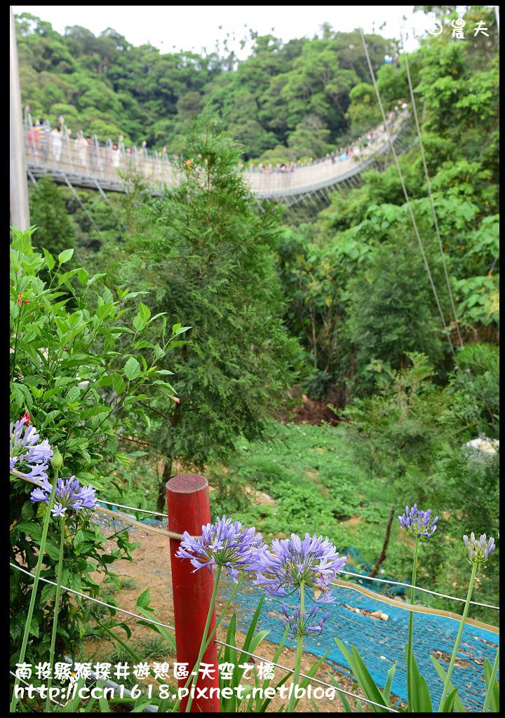 【南投旅遊】南投猴探井遊憩區-天空之橋‧​紫色浪漫愛情花季 @假日農夫愛趴趴照