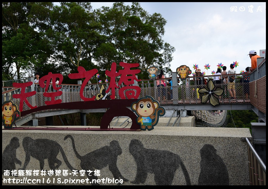 【南投旅遊】南投猴探井遊憩區-天空之橋‧​紫色浪漫愛情花季 @假日農夫愛趴趴照