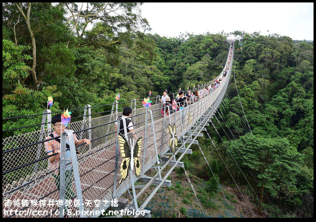 【南投旅遊】南投猴探井遊憩區-天空之橋‧​紫色浪漫愛情花季 @假日農夫愛趴趴照