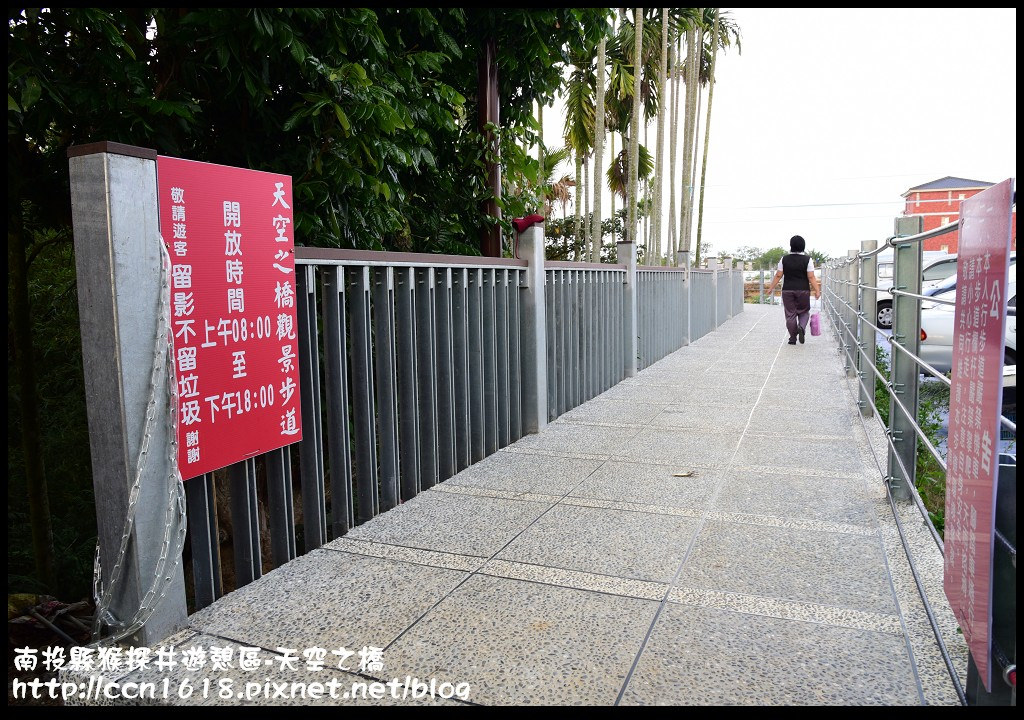 【南投旅遊】南投猴探井遊憩區-天空之橋‧​紫色浪漫愛情花季 @假日農夫愛趴趴照