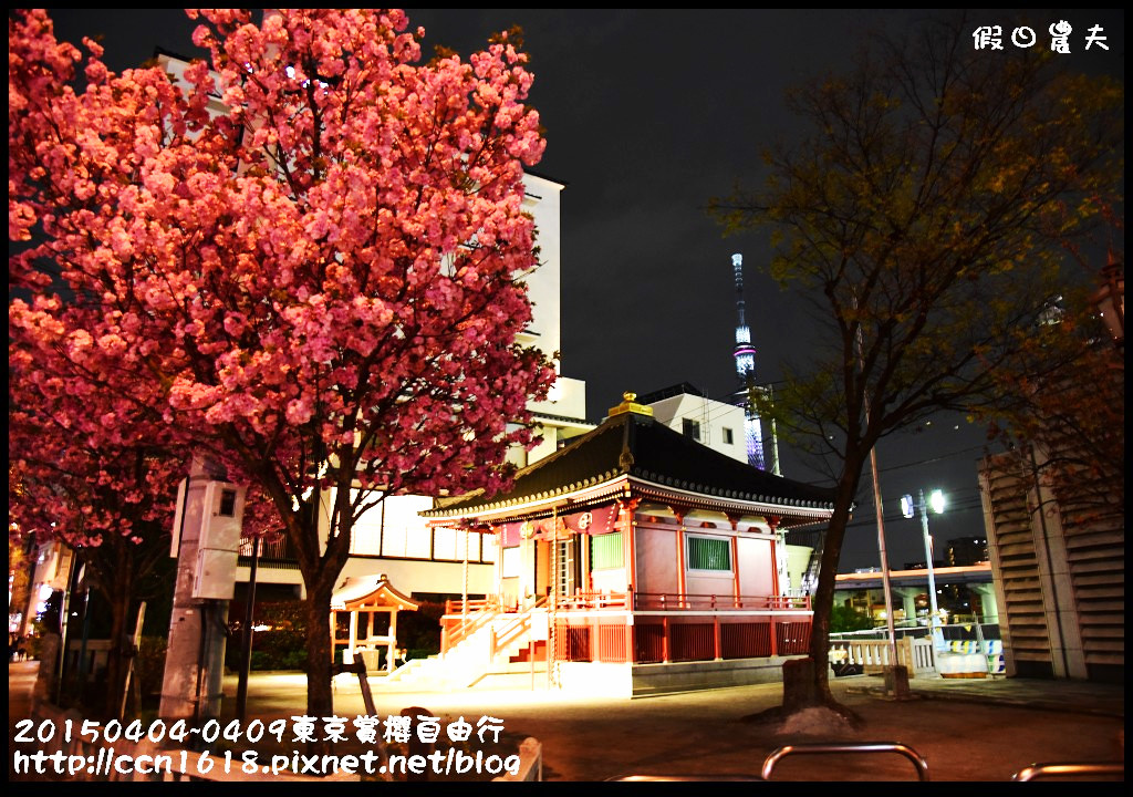 【日本旅遊】東京賞櫻自由行‧行程規劃/晴空塔/國立昭和紀念公園/三鷹之森美術館 @假日農夫愛趴趴照