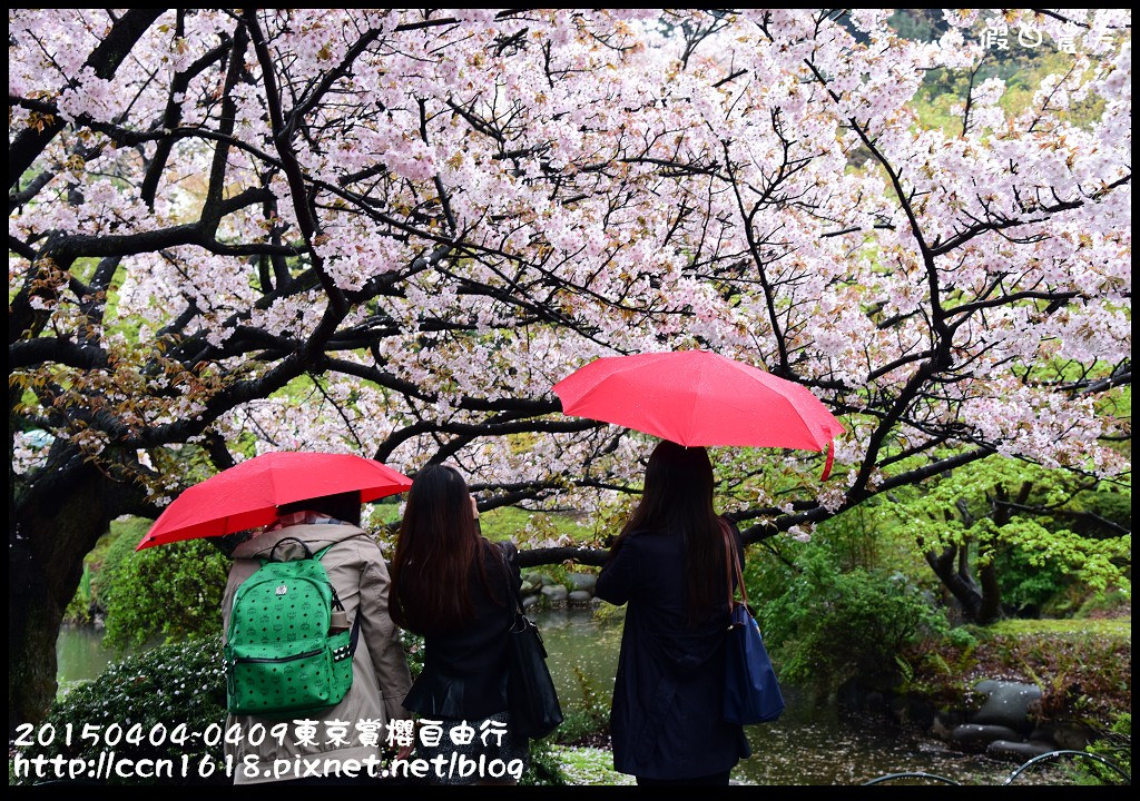 【日本旅遊】東京賞櫻自由行‧行程規劃/晴空塔/國立昭和紀念公園/三鷹之森美術館 @假日農夫愛趴趴照