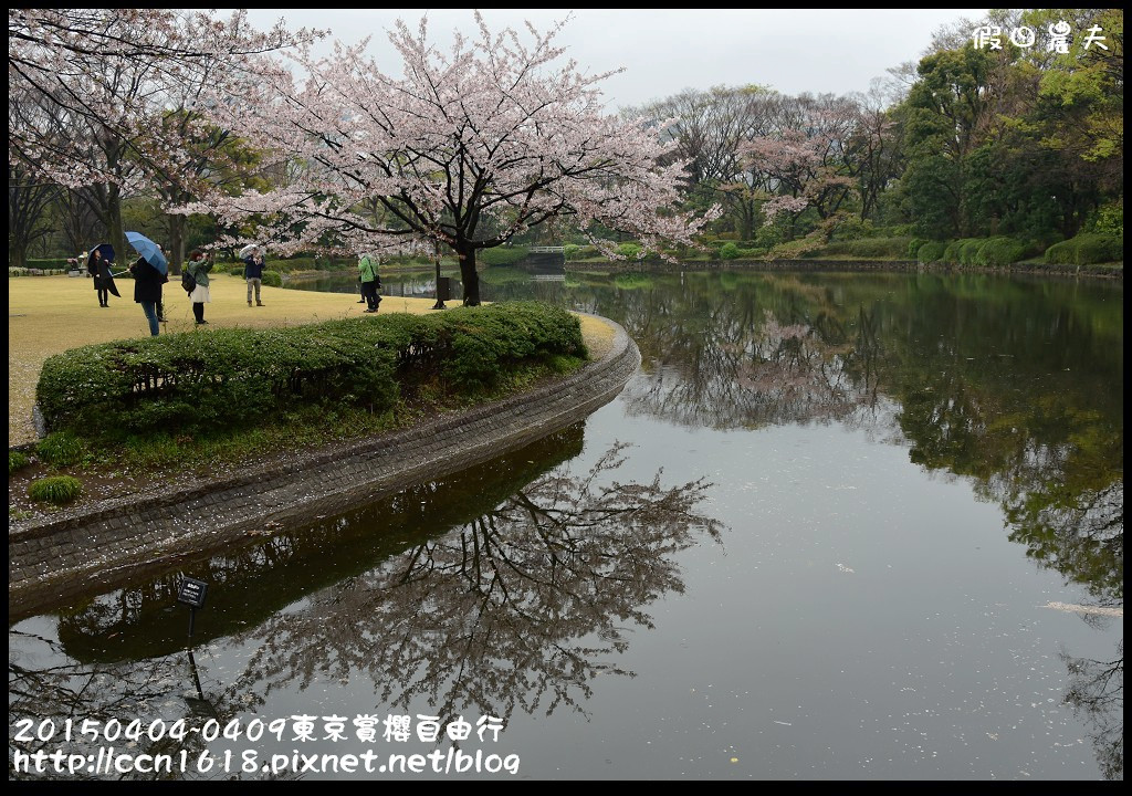 【日本旅遊】東京賞櫻自由行‧行程規劃/晴空塔/國立昭和紀念公園/三鷹之森美術館 @假日農夫愛趴趴照