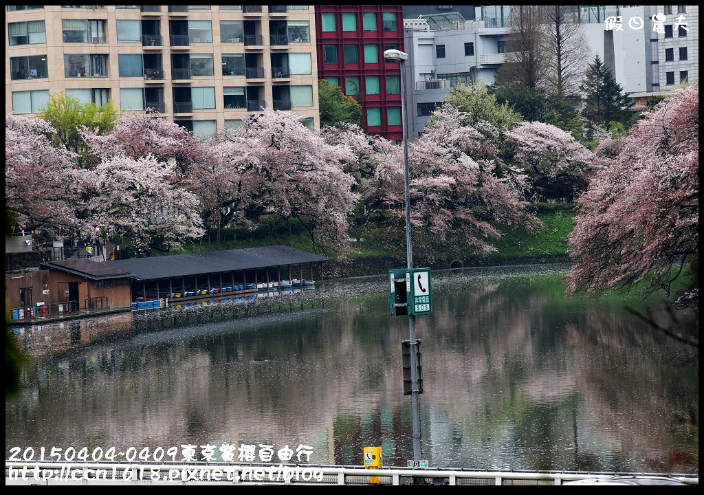 【日本旅遊】東京賞櫻自由行‧行程規劃/晴空塔/國立昭和紀念公園/三鷹之森美術館 @假日農夫愛趴趴照