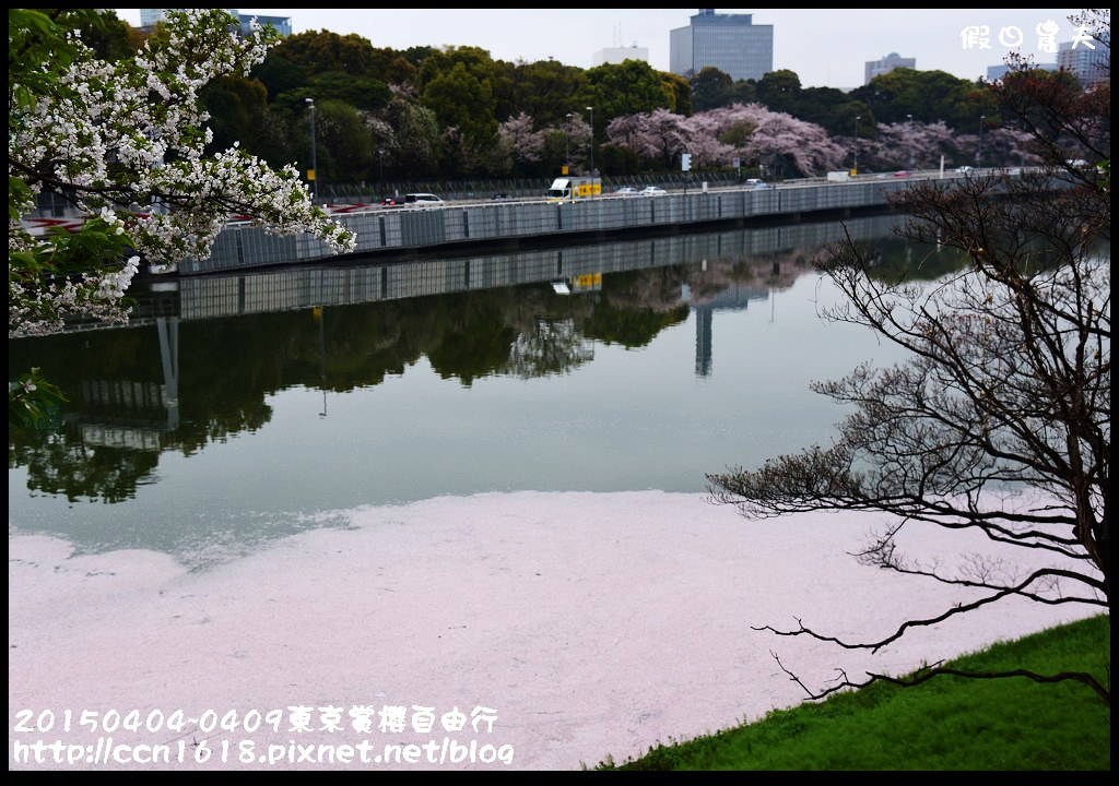 【日本旅遊】東京賞櫻自由行‧行程規劃/晴空塔/國立昭和紀念公園/三鷹之森美術館 @假日農夫愛趴趴照