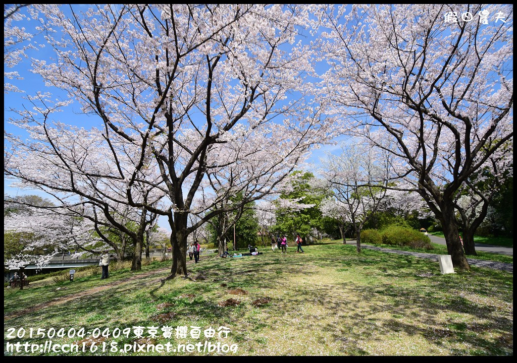 【日本旅遊】東京賞櫻自由行‧行程規劃/晴空塔/國立昭和紀念公園/三鷹之森美術館 @假日農夫愛趴趴照