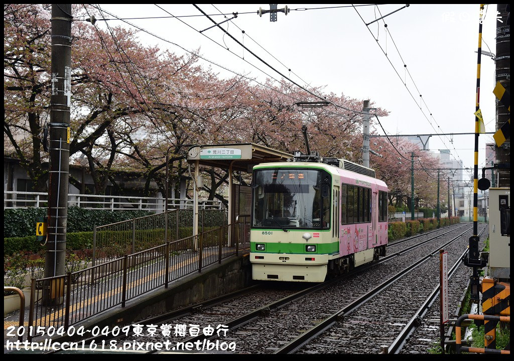 【日本旅遊】東京賞櫻自由行‧行程規劃/晴空塔/國立昭和紀念公園/三鷹之森美術館 @假日農夫愛趴趴照