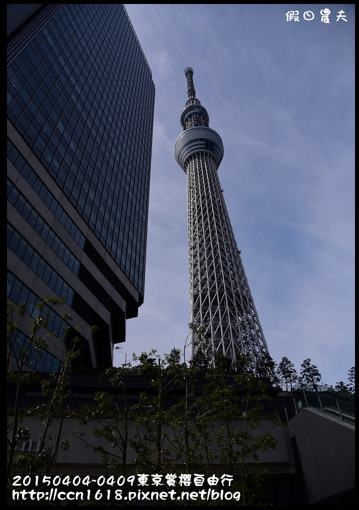 【日本旅遊】東京賞櫻自由行‧行程規劃/晴空塔/國立昭和紀念公園/三鷹之森美術館 @假日農夫愛趴趴照