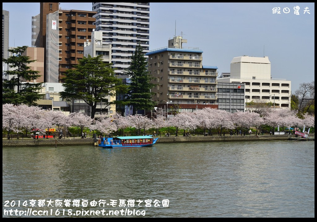 【日本旅遊】京都大阪賞櫻自由行‧南天滿公園 @假日農夫愛趴趴照