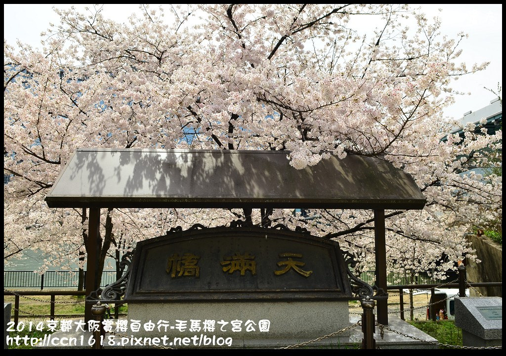 【日本旅遊】京都大阪賞櫻自由行‧南天滿公園 @假日農夫愛趴趴照