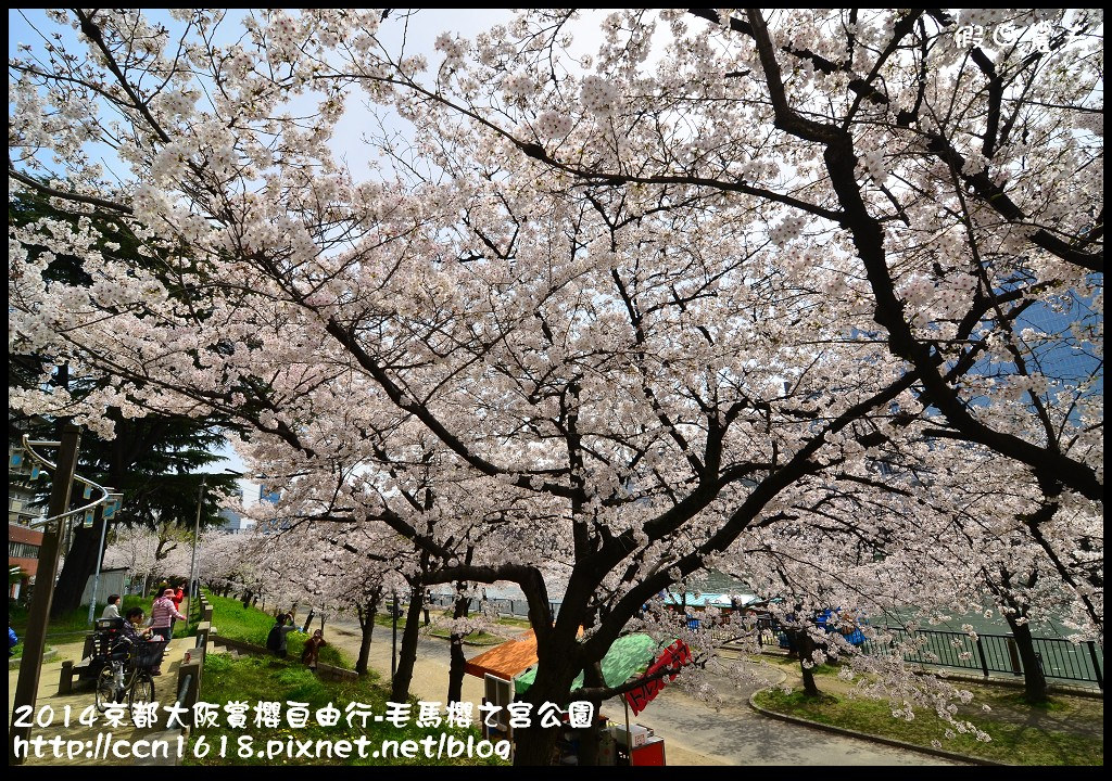 【日本旅遊】京都大阪賞櫻自由行‧南天滿公園 @假日農夫愛趴趴照