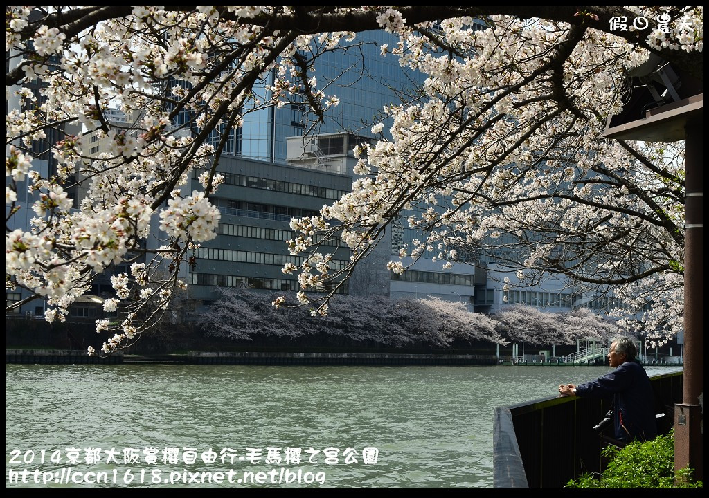 【日本旅遊】京都大阪賞櫻自由行‧南天滿公園 @假日農夫愛趴趴照