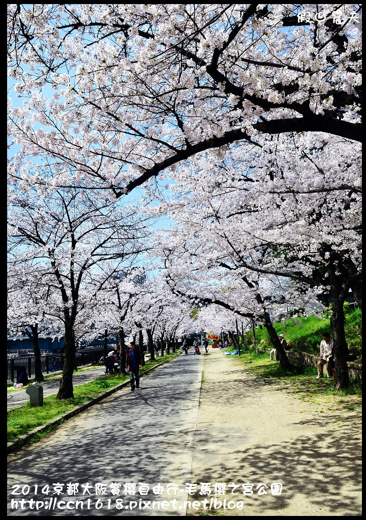 【日本旅遊】京都大阪賞櫻自由行‧南天滿公園 @假日農夫愛趴趴照