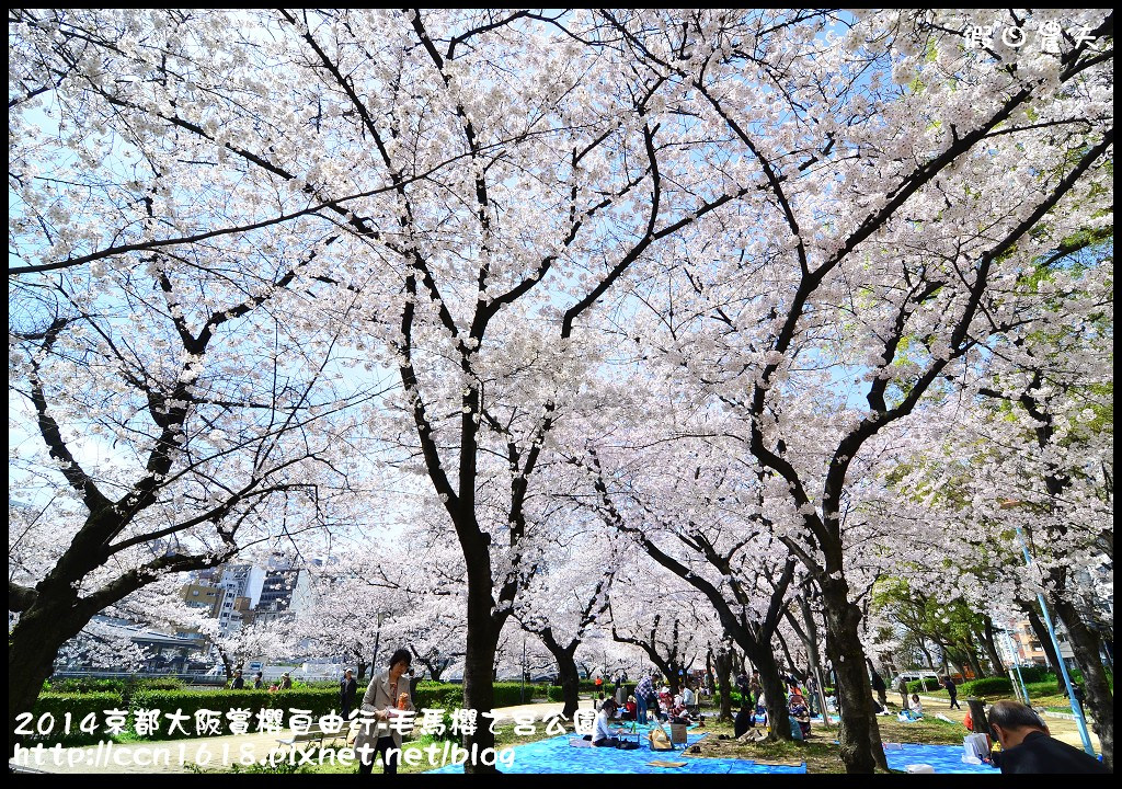 【日本旅遊】京都大阪賞櫻自由行‧南天滿公園 @假日農夫愛趴趴照