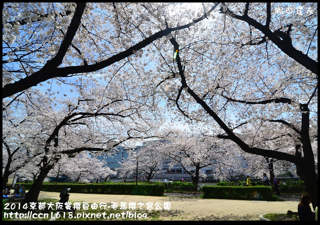 【日本旅遊】京都大阪賞櫻自由行‧南天滿公園 @假日農夫愛趴趴照