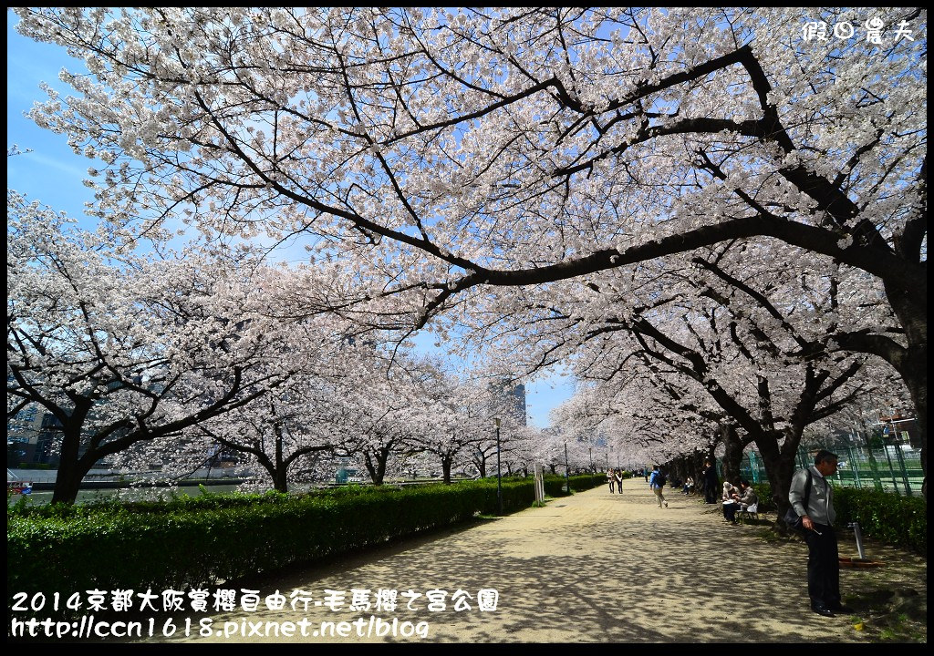 【日本旅遊】京都大阪賞櫻自由行‧南天滿公園 @假日農夫愛趴趴照