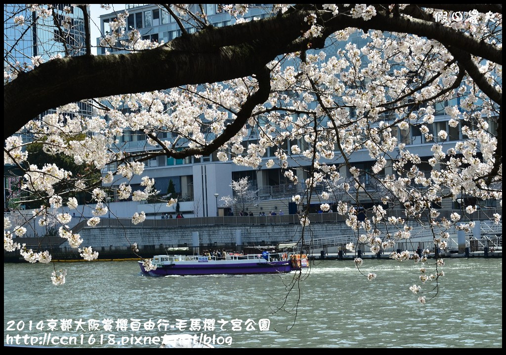 【日本旅遊】京都大阪賞櫻自由行‧南天滿公園 @假日農夫愛趴趴照