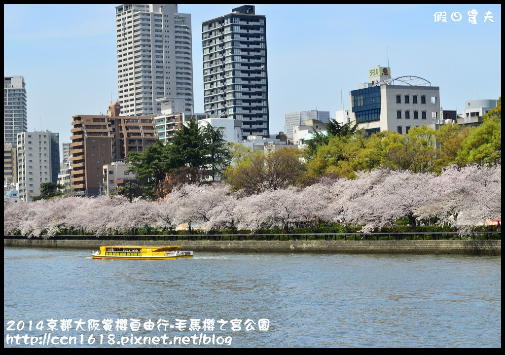 【日本旅遊】京都大阪賞櫻自由行‧南天滿公園 @假日農夫愛趴趴照