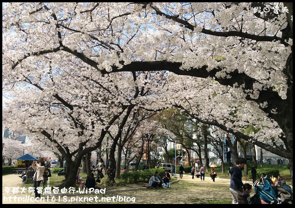 【日本旅遊資訊】日本櫻花前線預測．櫻花開花情報集合/行程規劃/自由行/賞櫻名所 @假日農夫愛趴趴照