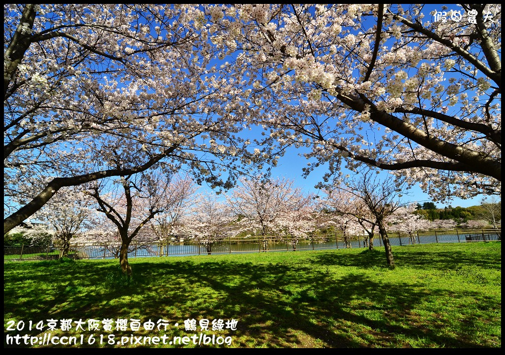 【日本旅遊資訊】日本櫻花前線預測．櫻花開花情報集合/行程規劃/自由行/賞櫻名所 @假日農夫愛趴趴照