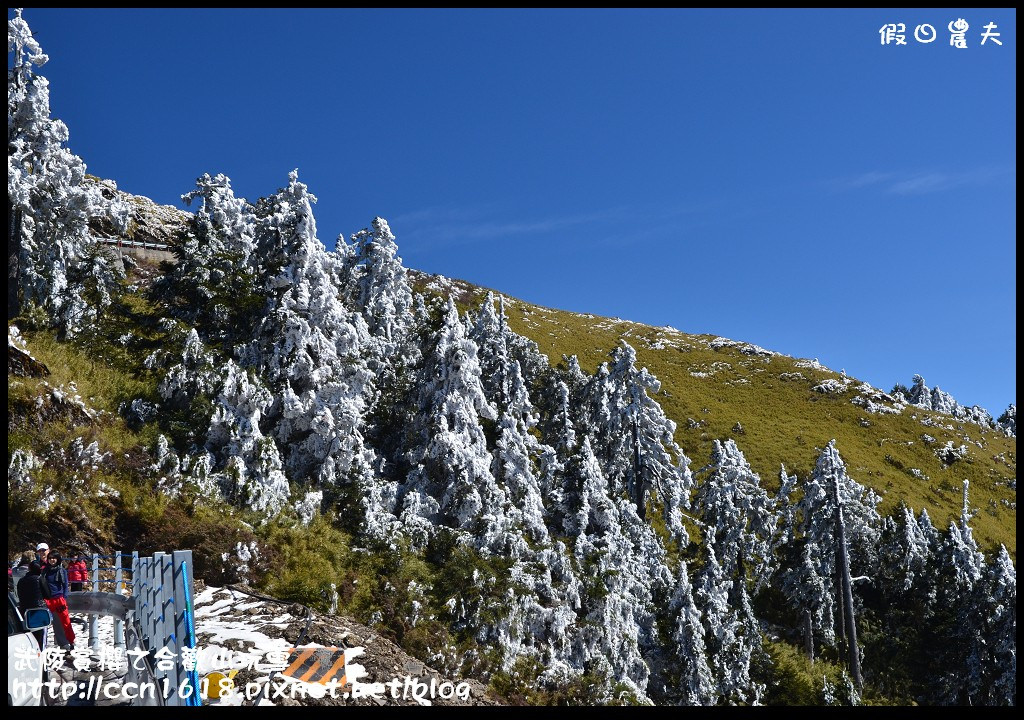 【南投旅遊】武陵賞櫻之合歡山玩雪 @假日農夫愛趴趴照