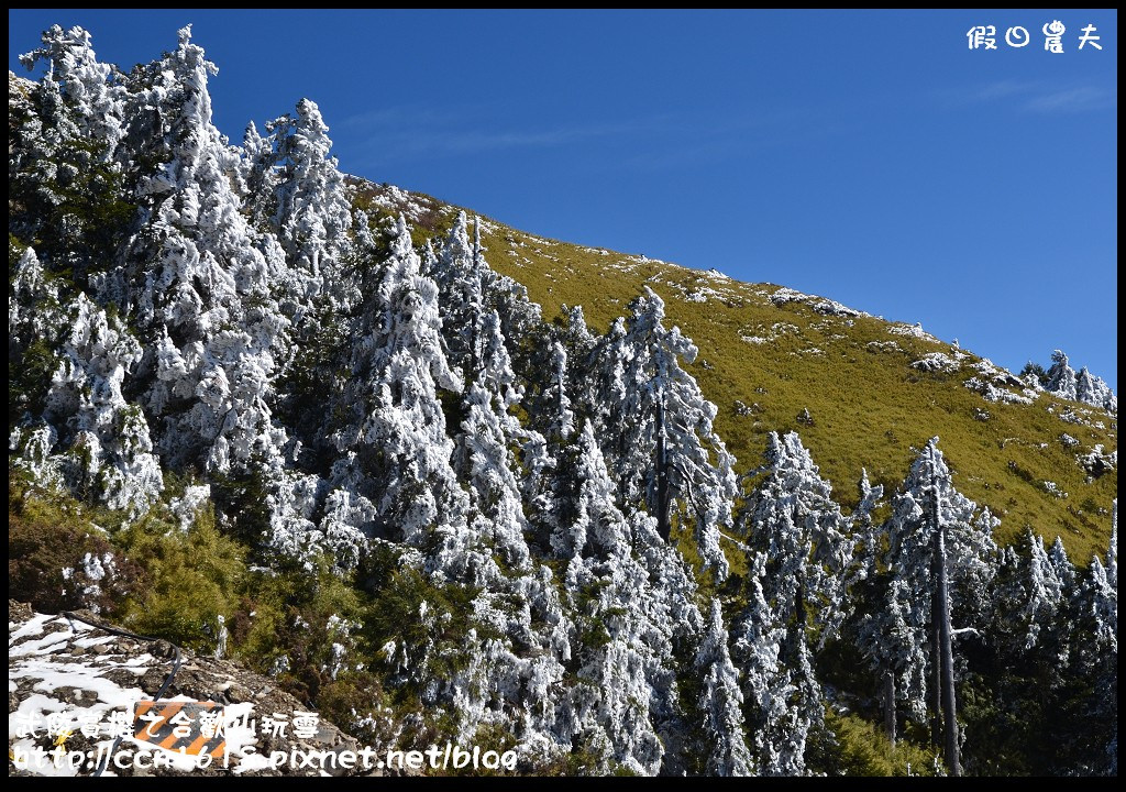 【南投旅遊】武陵賞櫻之合歡山玩雪 @假日農夫愛趴趴照