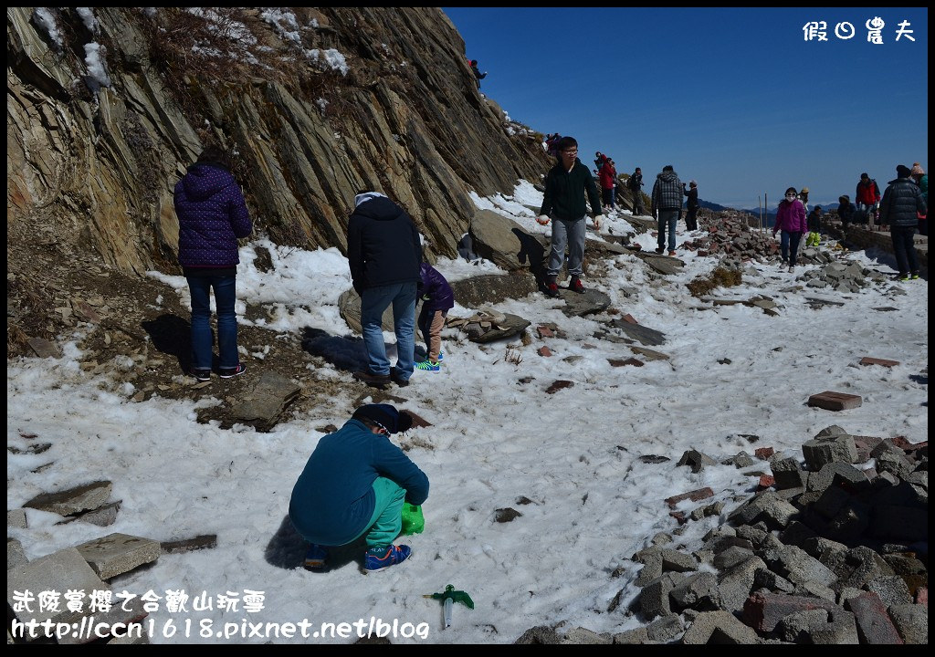 【南投旅遊】武陵賞櫻之合歡山玩雪 @假日農夫愛趴趴照