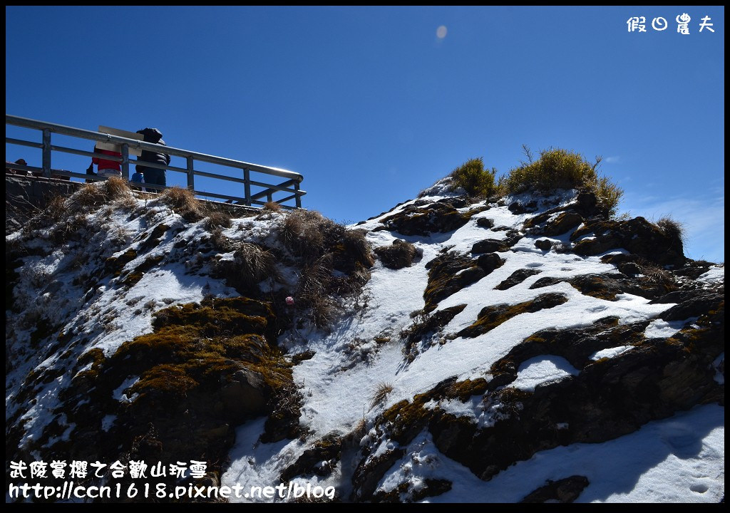 【南投旅遊】武陵賞櫻之合歡山玩雪 @假日農夫愛趴趴照