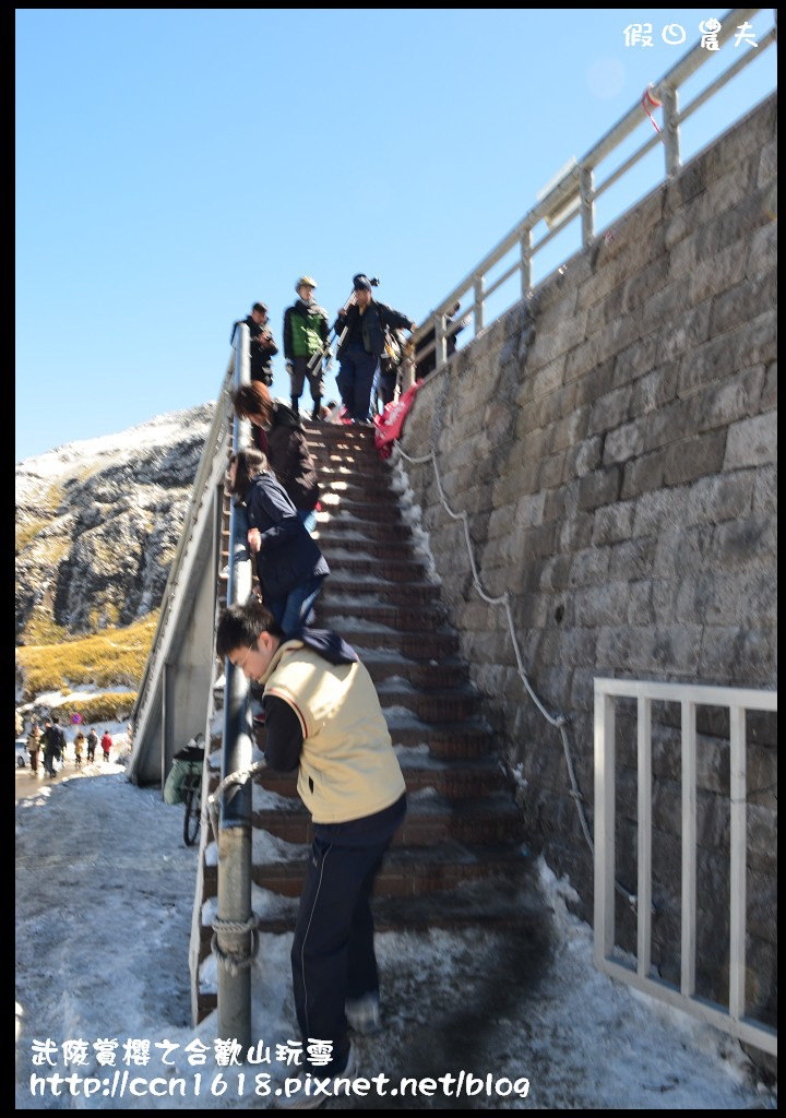 【南投旅遊】武陵賞櫻之合歡山玩雪 @假日農夫愛趴趴照