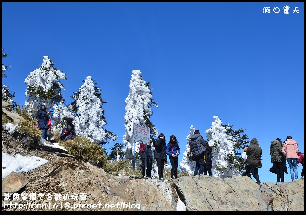 【南投旅遊】武陵賞櫻之合歡山玩雪 @假日農夫愛趴趴照