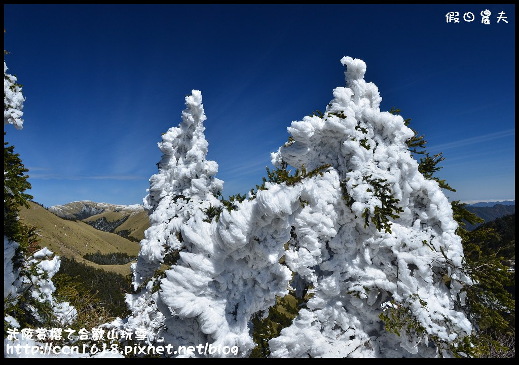 【南投旅遊】武陵賞櫻之合歡山玩雪 @假日農夫愛趴趴照