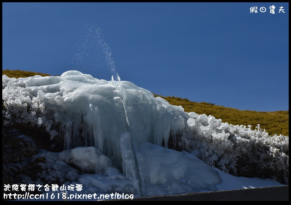 【南投旅遊】武陵賞櫻之合歡山玩雪 @假日農夫愛趴趴照