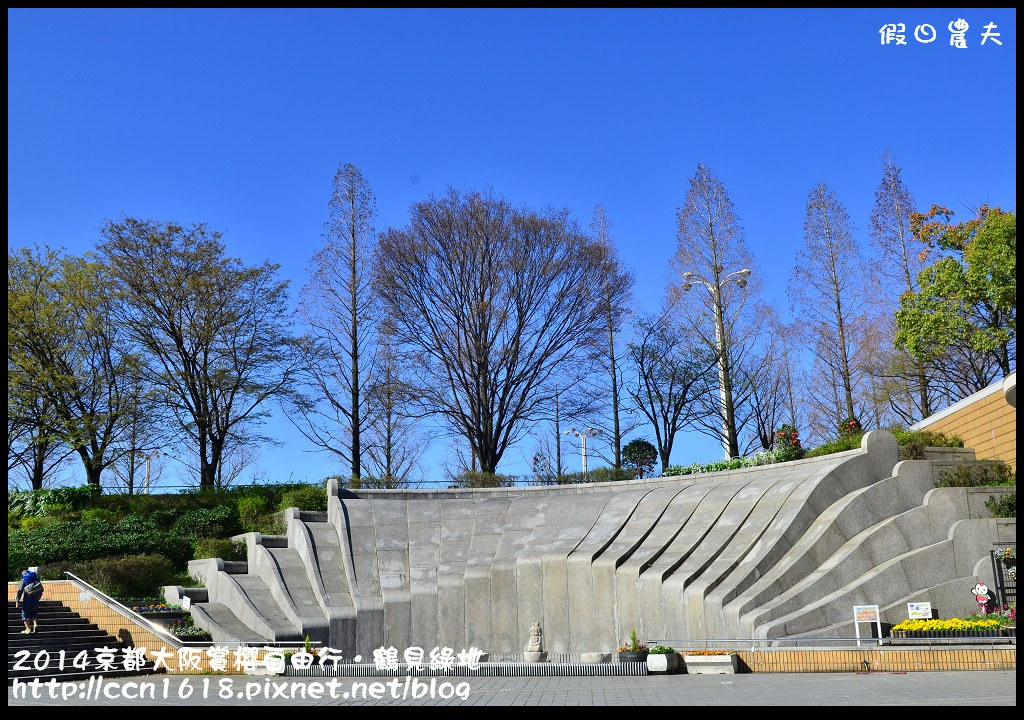 【日本旅遊】京都大阪賞櫻自由行．花博紀念公園鶴見綠地．終於賞到滿開的吉野櫻 @假日農夫愛趴趴照