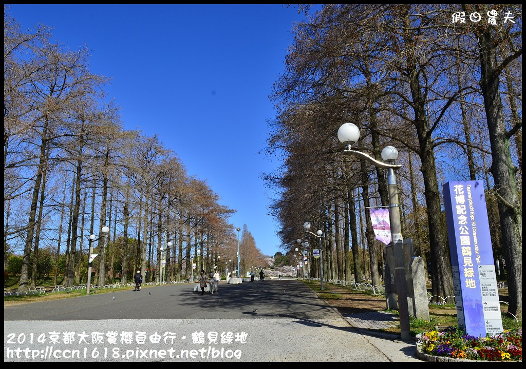 【日本旅遊】京都大阪賞櫻自由行．花博紀念公園鶴見綠地．終於賞到滿開的吉野櫻 @假日農夫愛趴趴照