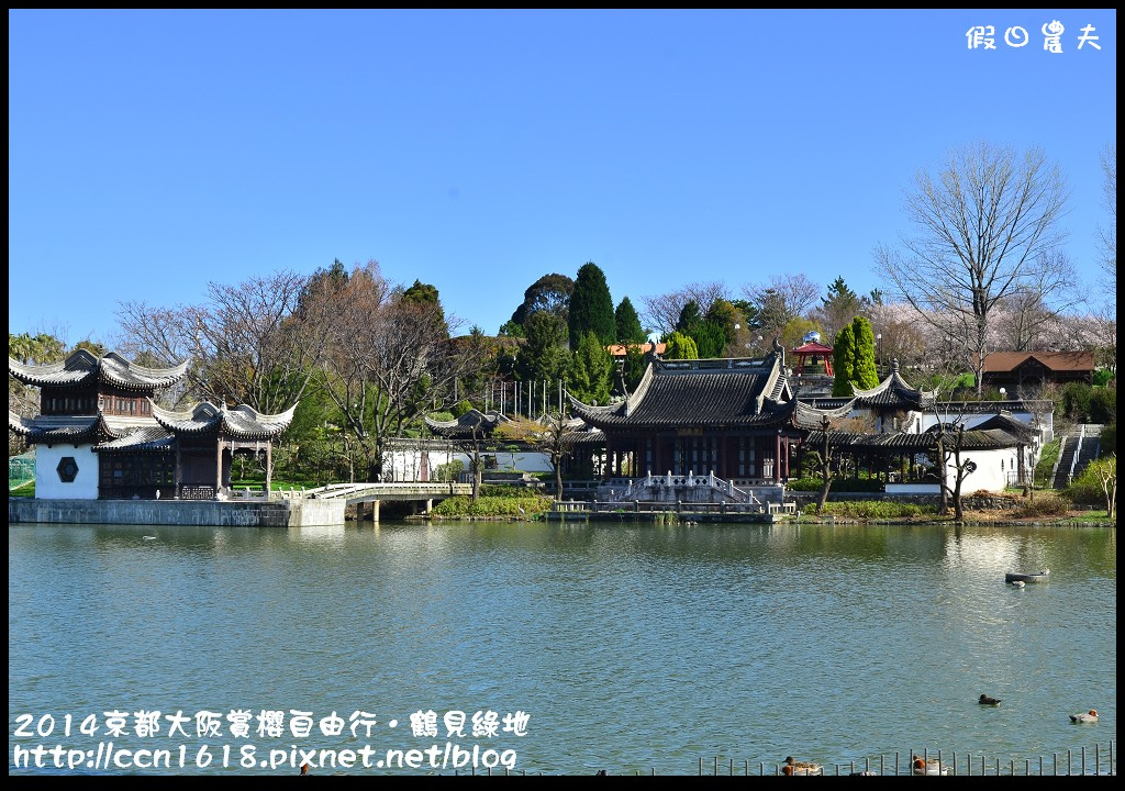 【日本旅遊】京都大阪賞櫻自由行．花博紀念公園鶴見綠地．終於賞到滿開的吉野櫻 @假日農夫愛趴趴照