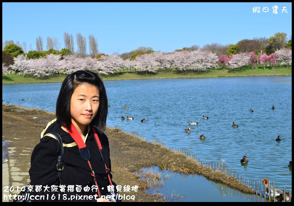 【日本旅遊】京都大阪賞櫻自由行．花博紀念公園鶴見綠地．終於賞到滿開的吉野櫻 @假日農夫愛趴趴照