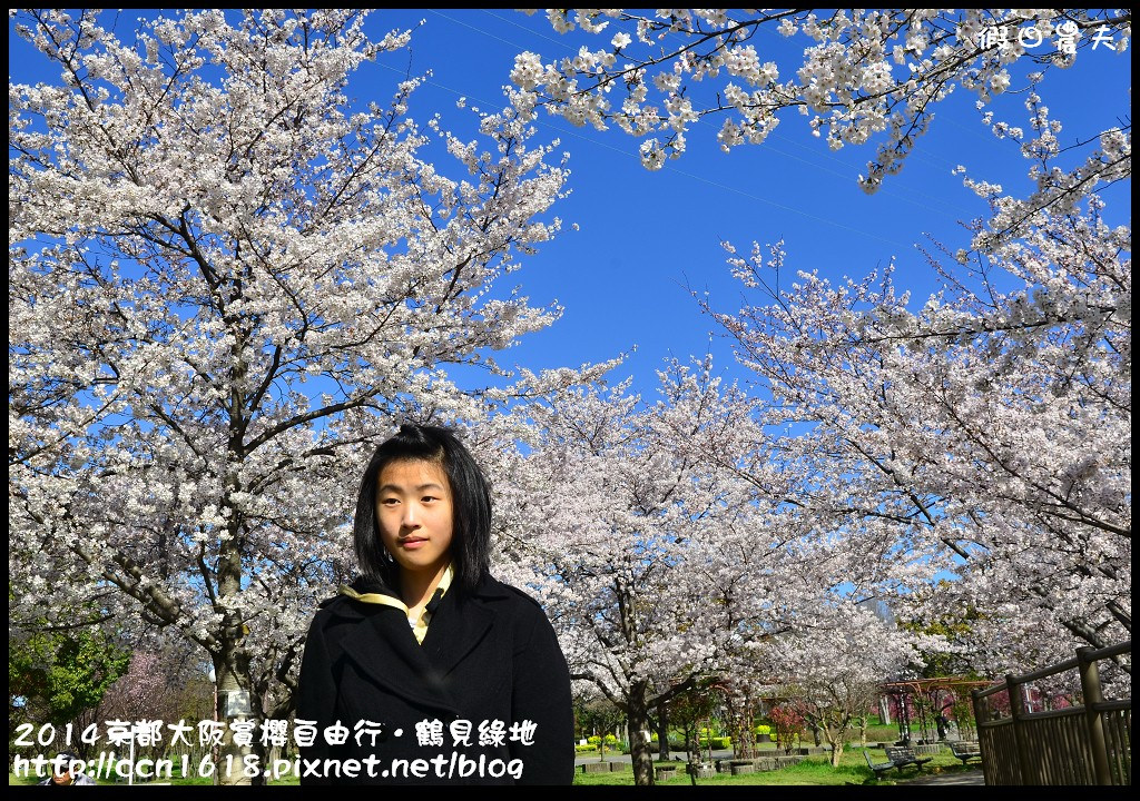 【日本旅遊】京都大阪賞櫻自由行．花博紀念公園鶴見綠地．終於賞到滿開的吉野櫻 @假日農夫愛趴趴照