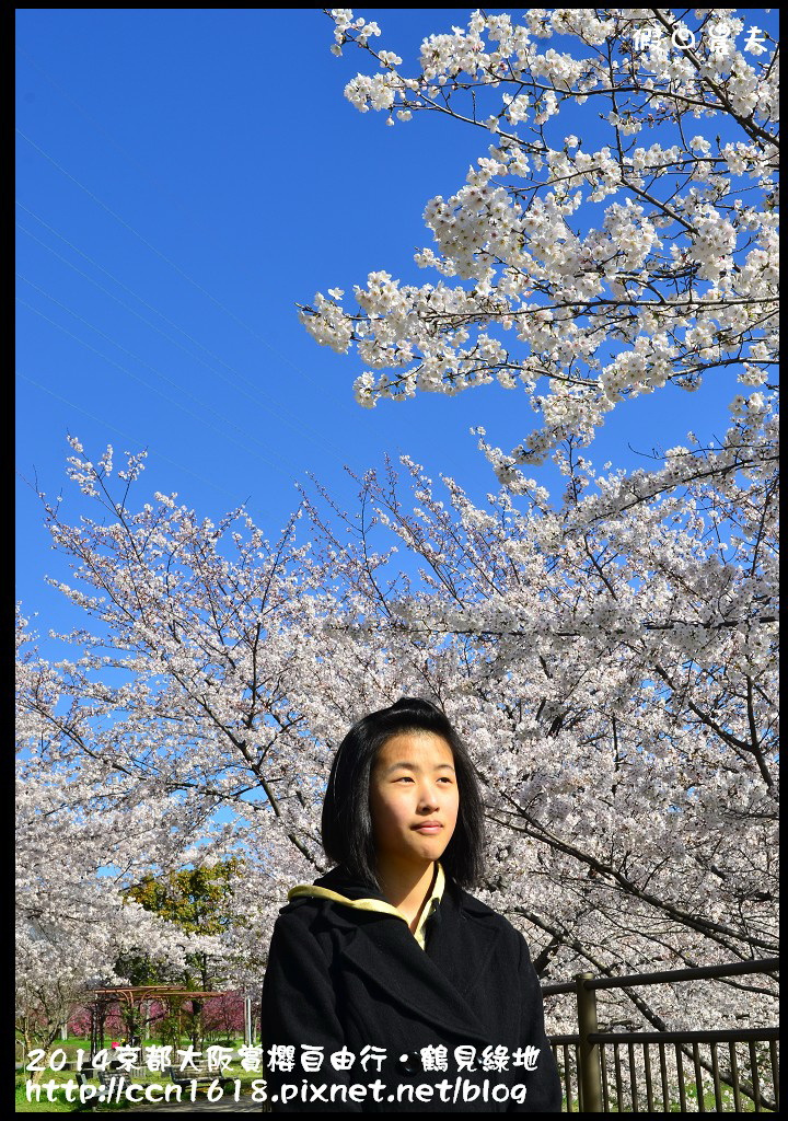 【日本旅遊】京都大阪賞櫻自由行．花博紀念公園鶴見綠地．終於賞到滿開的吉野櫻 @假日農夫愛趴趴照