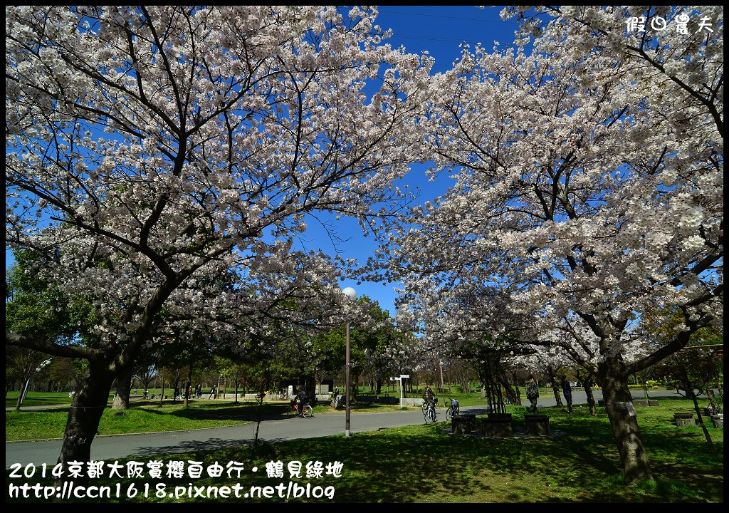 【日本旅遊】京都大阪賞櫻自由行．花博紀念公園鶴見綠地．終於賞到滿開的吉野櫻 @假日農夫愛趴趴照