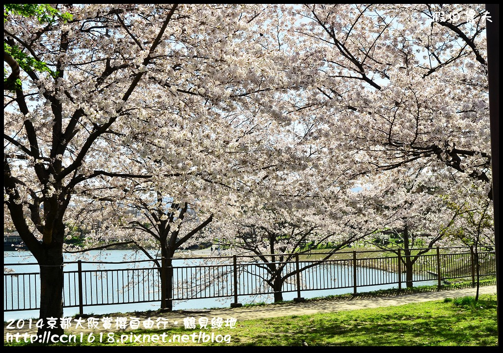 【日本旅遊】京都大阪賞櫻自由行．花博紀念公園鶴見綠地．終於賞到滿開的吉野櫻 @假日農夫愛趴趴照