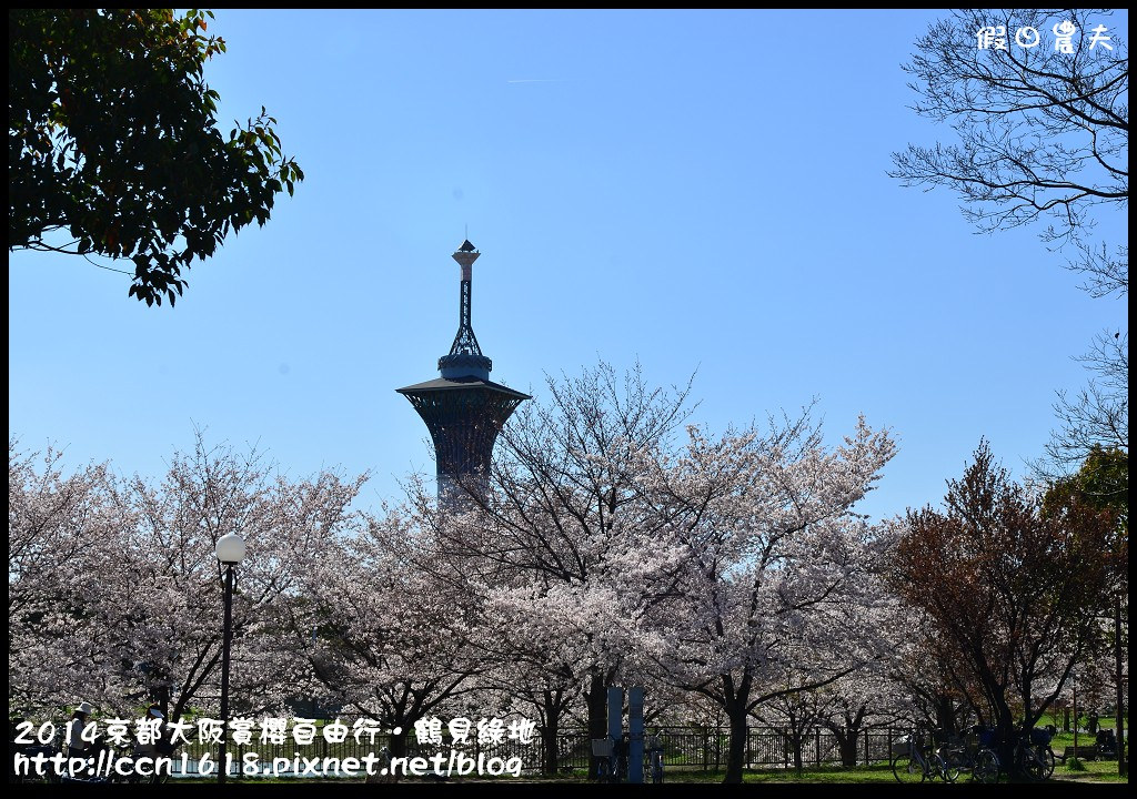 【日本旅遊】京都大阪賞櫻自由行．花博紀念公園鶴見綠地．終於賞到滿開的吉野櫻 @假日農夫愛趴趴照