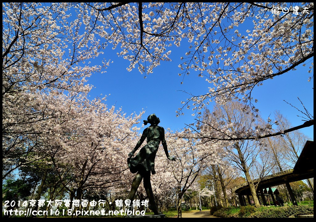 【日本旅遊】京都大阪賞櫻自由行．花博紀念公園鶴見綠地．終於賞到滿開的吉野櫻 @假日農夫愛趴趴照