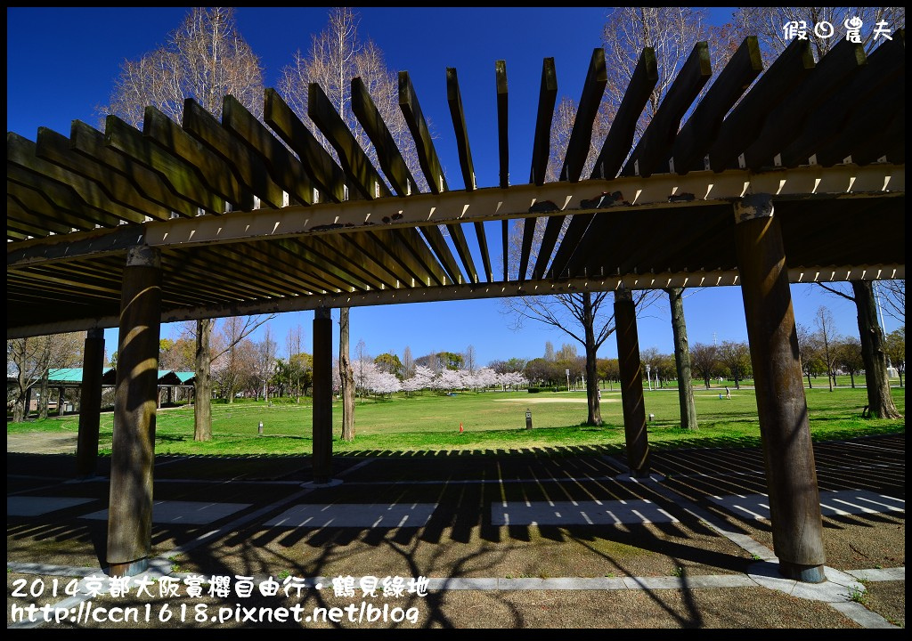 【日本旅遊】京都大阪賞櫻自由行．花博紀念公園鶴見綠地．終於賞到滿開的吉野櫻 @假日農夫愛趴趴照