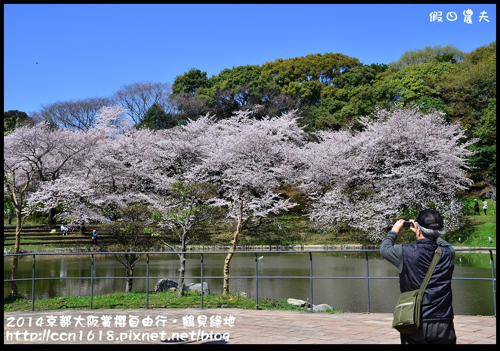 【日本旅遊】京都大阪賞櫻自由行．花博紀念公園鶴見綠地．終於賞到滿開的吉野櫻 @假日農夫愛趴趴照