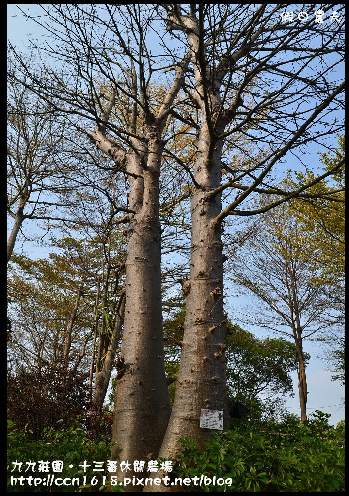 【雲林景點】九九莊園文化創意園區‧溜小孩拍婚紗都很適合 @假日農夫愛趴趴照